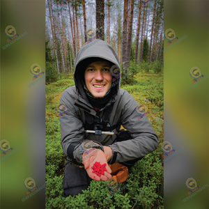 Puhelimen taustakuva Survival-Petteri puolukassa 1